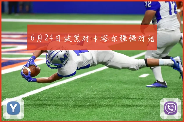 6月24日波黑对卡塔尔强强对话