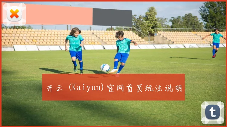 开云 (Kaiyun)官网首页玩法说明