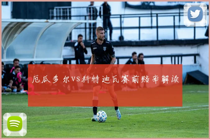 厄瓜多尔vs科特迪瓦赛前赔率解读
