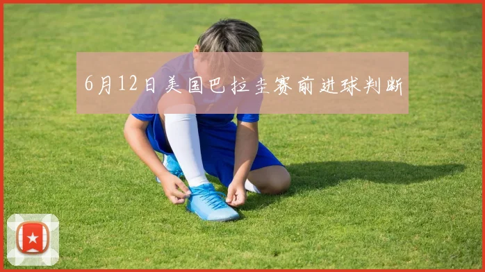 6月12日美国巴拉圭赛前进球判断